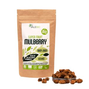 Mulberries - super aliments - complément alimentaires