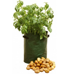 Saca’patates Ecovi®