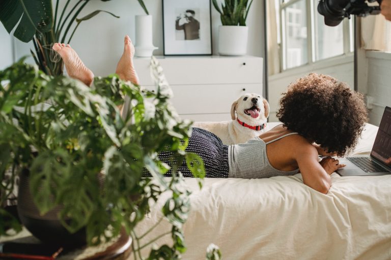 Adoptez un mode de vie feng shui