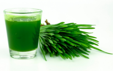 jus d'herbe à l'extracteur de jus